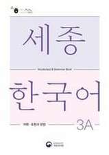 Sejong Korean Vocabulary and Grammar 3A