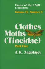 Clothes Moths (Tineidae)