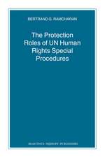 The Protection Roles of UN Human Rights Special Procedures