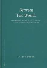 Between Two Worlds: The Frontier Region between Ancient Nubia and Egypt 3700 BC - 500 AD