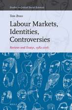 Labour Markets, Identities, Controversies: Reviews and Essays, 1982-2016