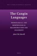 The Cangin Languages: Phonological and Morphological Reconstruction and Diachrony