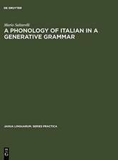 A Phonology of Italian in a Generative Grammar