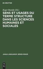 Sens et usages du terme structure dans les sciences humaines et sociales