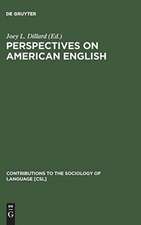 Perspectives on American English