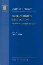 Human Rights Protection: Methods and Effectiveness