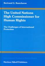 The United Nations High Commissioner for Human Rights: The Challenges of International Protection