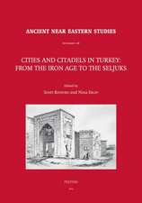 Cities and Citadels in Turkey: From the Iron Age to the Seljuks