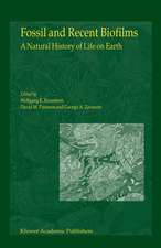 Fossil and Recent Biofilms: A Natural History of Life on Earth