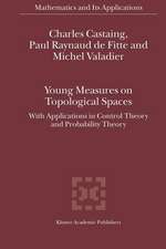 Young Measures on Topological Spaces: With Applications in Control Theory and Probability Theory