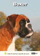 Boxer