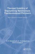 Thermal Stability of Engineering Heterochain Thermoresistant Polymers