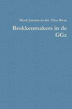 Brokkenmakers in de Ggz