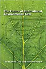 The Future of International Environmental Law