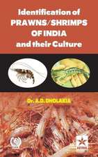 Identification of Prawns/Shrimps and Their Culture