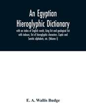 An Egyptian hieroglyphic dictionary