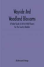 Wayside And Woodland Blossoms