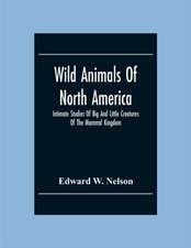 Wild Animals Of North America, Intimate Studies Of Big And Little Creatures Of The Mammal Kingdom