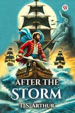 After the Storm