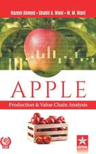 Apple: Production and Value Chain Analysis