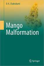 Mango Malformation