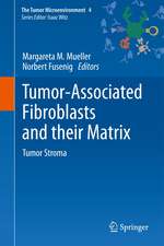 Tumor-Associated Fibroblasts and their Matrix