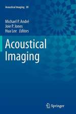 Acoustical Imaging: Volume 30