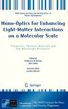 Nano-Optics for Enhancing Light-Matter Interactions on a Molecular Scale: Plasmonics, Photonic Materials and Sub-Wavelength Resolution