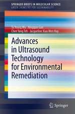 Advances in Ultrasound Technology for Environmental Remediation