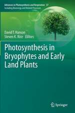 Photosynthesis in Bryophytes and Early Land Plants