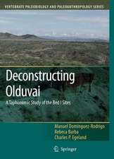 Deconstructing Olduvai: A Taphonomic Study of the Bed I Sites