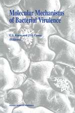 Molecular Mechanisms of Bacterial Virulence