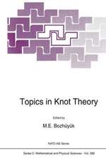 Topics in Knot Theory