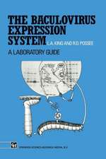 The Baculovirus Expression System: A laboratory guide