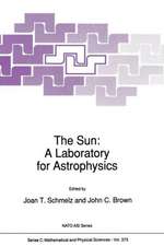 The Sun