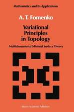 Variational Principles of Topology: Multidimensional Minimal Surface Theory