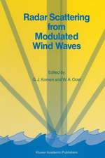 Radar Scattering from Modulated Wind Waves: Proceedings of the Workshop on Modulation of Short Wind Waves in the Gravity-Capillary Range by Non-Uniform Currents, held in Bergen aan Zee, The Netherlands, 24–26 May 1988