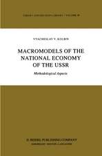 Macromodels of the National Economy of the USSR: Methodological Aspects