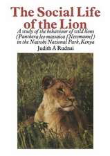 The Social Life of the Lion: A study of the behaviour of wild lions (Panthera leo massaica [Newmann]) in the Nairobi National Park, Kenya