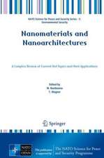 Nanomaterials and Nanoarchitectures: A Complex Review of Current Hot Topics and their Applications