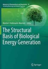 The Structural Basis of Biological Energy Generation