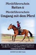 Pferdeführerschein Umgang mit dem Pferd & Reiten