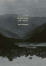 An Ocean in Between the Waves