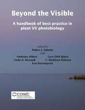 Beyond the Visible