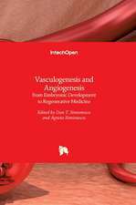 Vasculogenesis and Angiogenesis