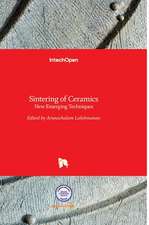 Sintering of Ceramics