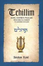 Tehillim, King David's Psalms: From Biblical Hebrew to Modern English