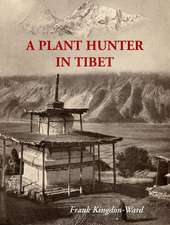 A Plant Hunter In Tibet