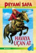 Havaya Ucan At