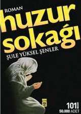 Huzur Sokagi